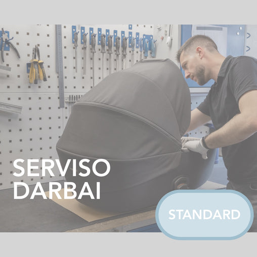 Vežimėlio serviso darbai - STANDARD